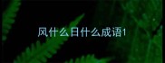 风什么日什么成语