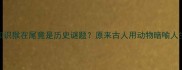 成语冷知识猴在尾竟是历史谜题原来古人用动物暗喻人生智慧