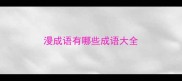 漫成语有哪些成语大全