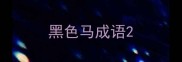 黑色马成语