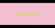赋开头的成语