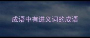 成语中有进义词的成语