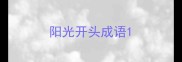 阳光开头成语