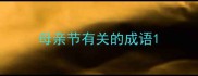母亲节有关的成语
