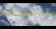 20个形容有孩子的经典成语及家庭教育智慧附实用应用指南