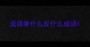 成语举什么反什么成语