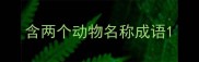 含两个动物名称成语