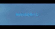 青蛙的成语是什么