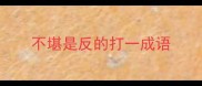 不堪是反的打一成语