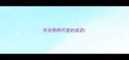 形容狗狗可爱的成语