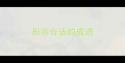 形容合适的成语
