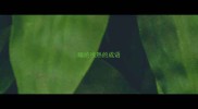 睡的很熟的成语