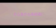什么鱼什么珠成语