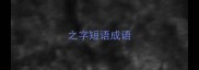 之字短语成语