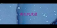 类似的成语