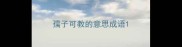 孺子可教的意思成语