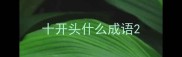 十开头什么成语