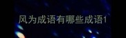 风为成语有哪些成语