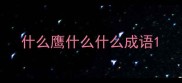 什么鹰什么什么成语