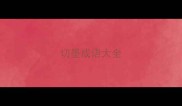 切墨成语大全