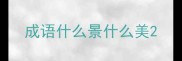 成语什么景什么美
