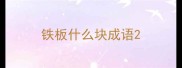 铁板什么块成语