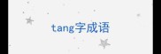tang字成语