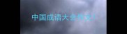 中国成语大会作文