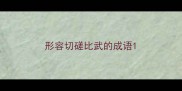 形容切磋比武的成语