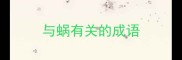 与蜗有关的成语
