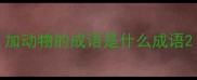 加动物的成语是什么成语