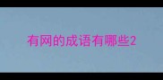 有网的成语有哪些