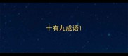 十有九成语
