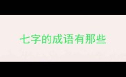 七字的成语有那些