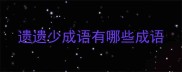 遗遗少成语有哪些成语