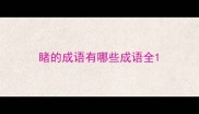 睹的成语有哪些成语全