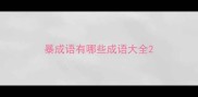 暴成语有哪些成语大全