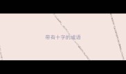 带有十字的成语