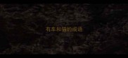 有车和猫的成语