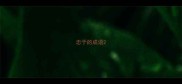 忠于的成语