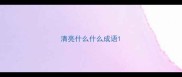 清亮什么什么成语