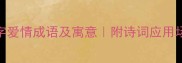 5个经典五字爱情成语及寓意附诗词应用场景推荐