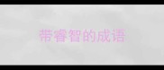 带睿智的成语