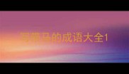 写带马的成语大全
