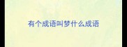 有个成语叫梦什么成语