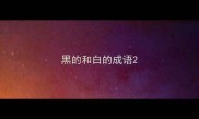 黑的和白的成语