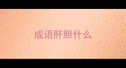 成语肝胆什么
