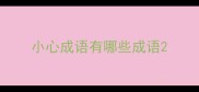 小心成语有哪些成语