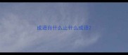 成语自什么止什么成语