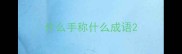 什么手称什么成语